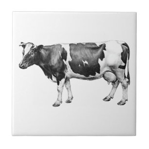 Azulejo Vaca lechera Prizewinning
