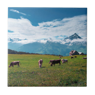 Azulejo Vacas felices en la granja en Suiza