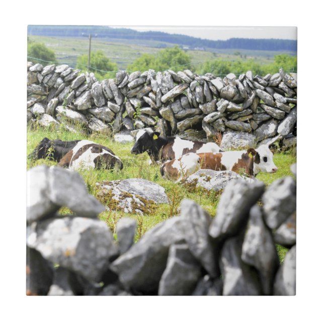 Azulejo Vacas moo (Frente)