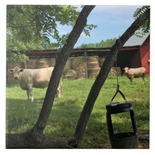 Azulejo Vacas y granjas, Carolina del Norte rural