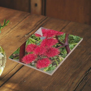 Azulejo Vainas de semillas de la planta de ricino rojo