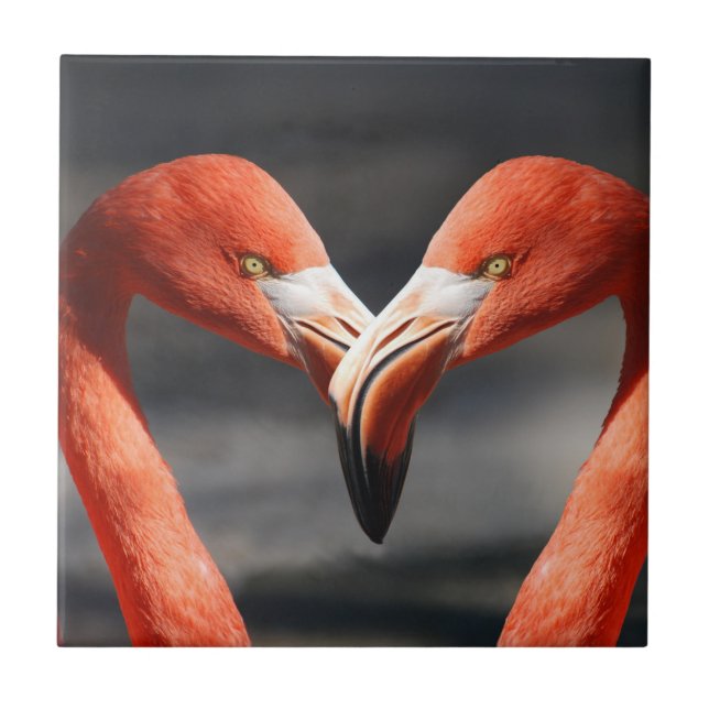 Azulejo Valentine Flamingo (Frente)
