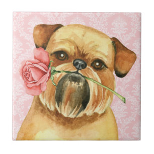 Azulejo Valentine Rosa Brussels Griffon