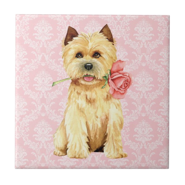 Azulejo Valentine Rosa Cairn Terrier Tile cerámico (Frente)