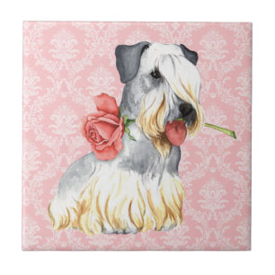 Azulejo Valentine Rosa Cesky Terrier