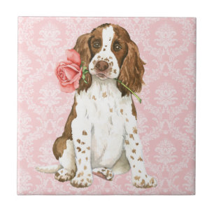 Azulejo Valentine Rosa English Springer