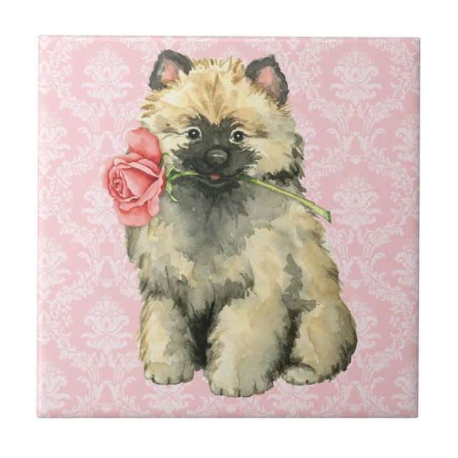 Azulejo Valentine Rosa Keeshond (Frente)