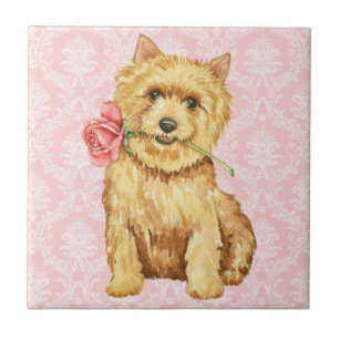 Azulejo Valentine Rosa Norwich Terrier