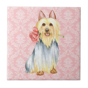 Azulejo Valentine Rosa Silky Terrier Tile
