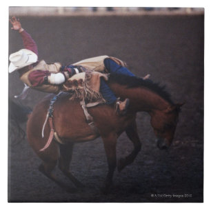 Azulejo Vaquero en un rodeo 2