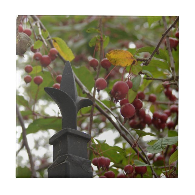 Azulejo Vecina y manzanas (Frente)