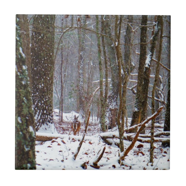 Azulejo venado de cola blanca en la nieve (Frente)