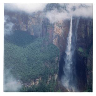 Azulejo Venezuela, Salto Ángel, Parque Nacional Canaima