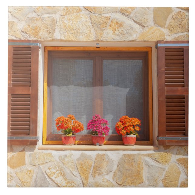 Azulejo Ventana de una finca española (Frente)