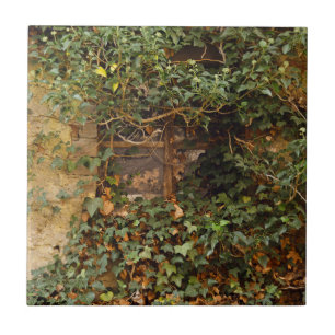 Azulejo Ventana embrujada  