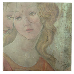 Azulejo Venus y las tres tolerancias que le ofrecen a