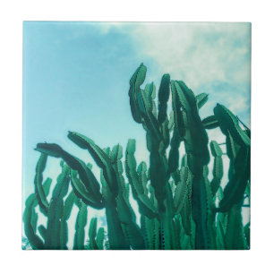 Azulejo Verano Vibes Palm Tree Cactus Palm Green