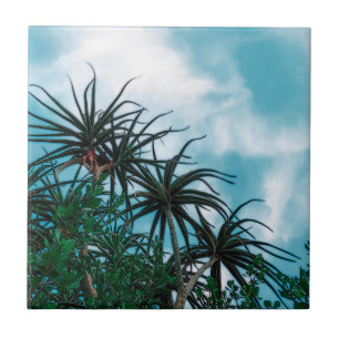 Azulejo Verano Vibes Palm Tree Cactus Palm Green