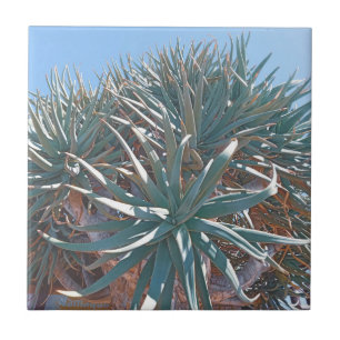 Azulejo Verano Vibes Palm Tree Cactus Palm Green
