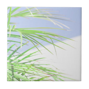 Azulejo Verano Vibes Palm Tree deja Pastel verde pálido
