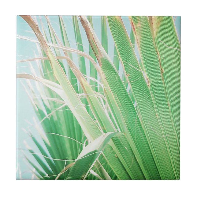 Azulejo Verano Vibes Palm Tree deja verde pálido (Frente)