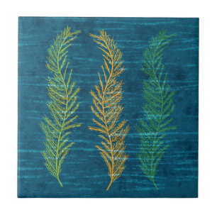 Azulejo Verde azul de algas