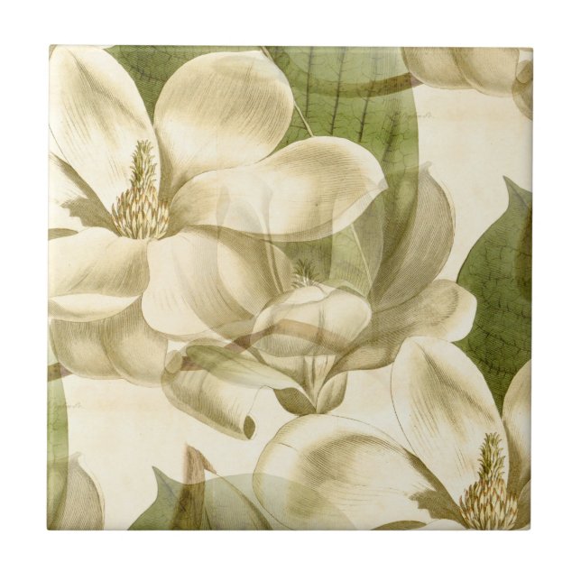 Azulejo verde floral de la magnolia (Frente)