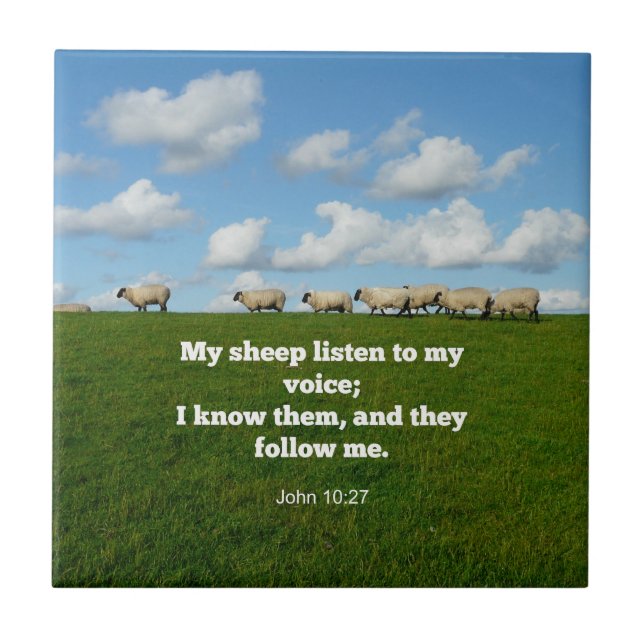 Azulejo Verso de la Biblia, John 10:27, (Frente)