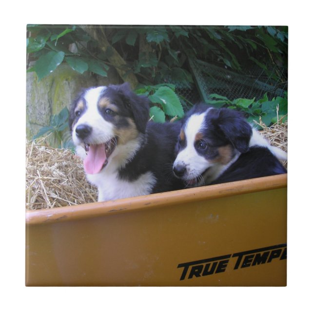 Azulejo Viaje en carretilla (Frente)