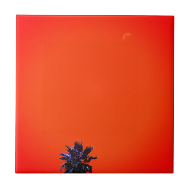 Azulejo Vibes positivas: minimalismo de la luna de la palm (Frente)