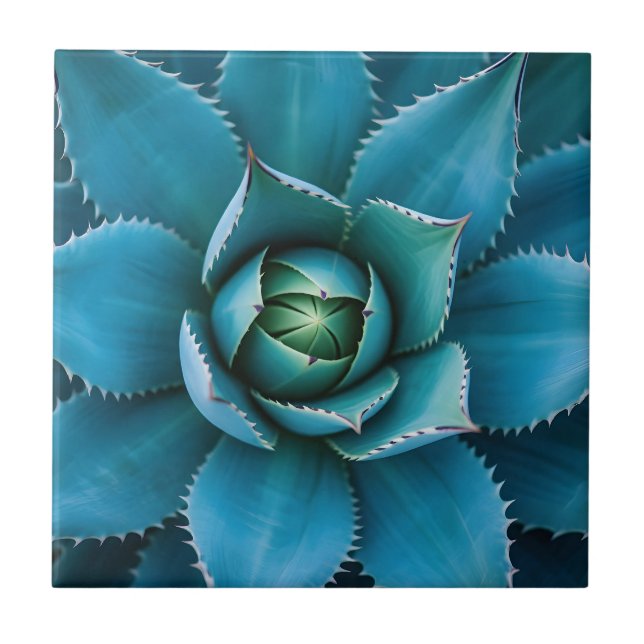 Azulejo Vibrant Teal Agave Succulent Macro Geometric  (Frente)