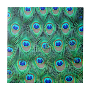 Azulejo Vibrantes plumas de pavo real