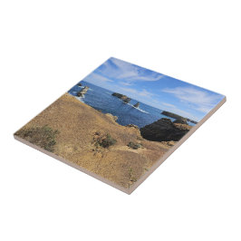 Azulejo Victoria’s Bay of Islands Coastal Panorama