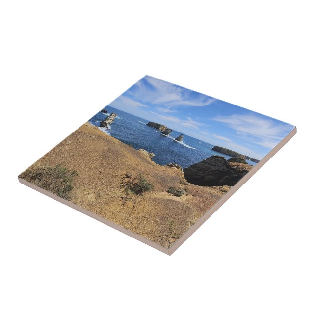 Azulejo Victoria’s Bay of Islands Coastal Panorama (Lado)