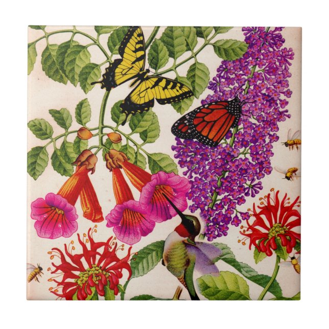 Azulejo vid de trompeta, matorral, bálsamo de abeja (Frente)