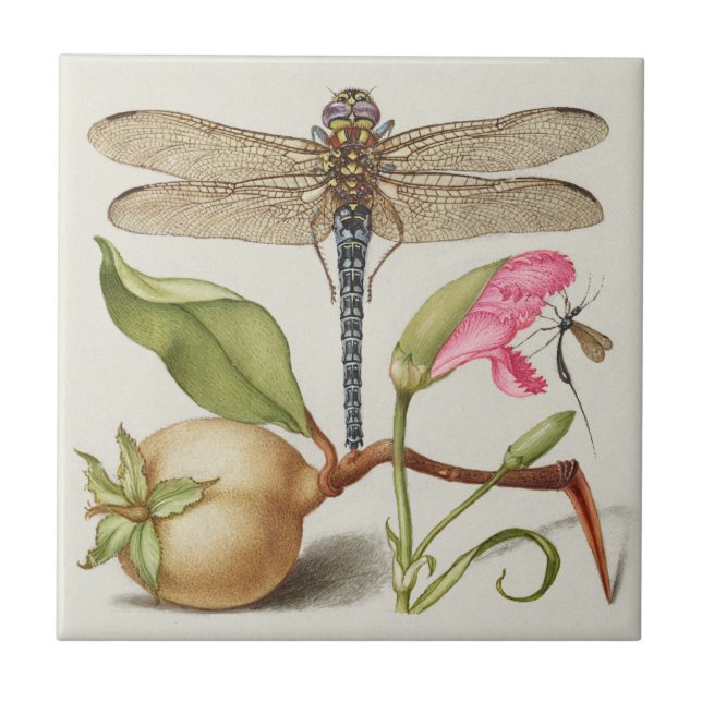 Azulejo Vida de jardín, libélula, pera, clavel e insecto (Frente)