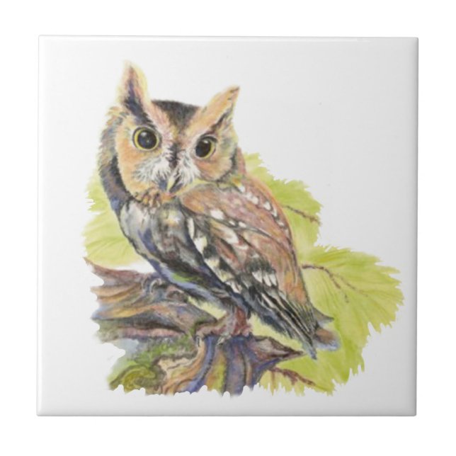 Azulejo Vida silvestre acuarela de Owl Bird (Frente)