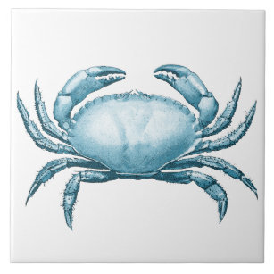 Azulejo Vida silvestre y marisco náutica del cangrejo azul