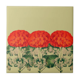 Azulejo Viejo Geranium Trio - floral audaz   