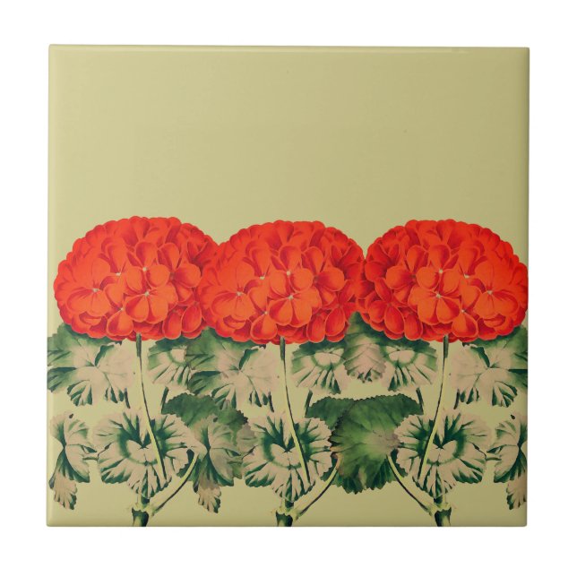 Azulejo Viejo Geranium Trio - floral audaz    (Frente)