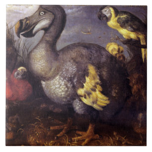 Azulejo Viejo Roelant Savery Savery Dodo