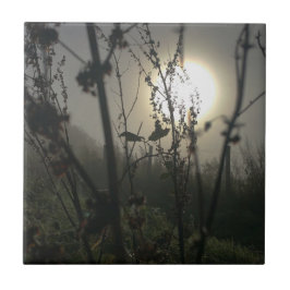 Azulejo Viendo a lo grande en una pequeña foto impresa