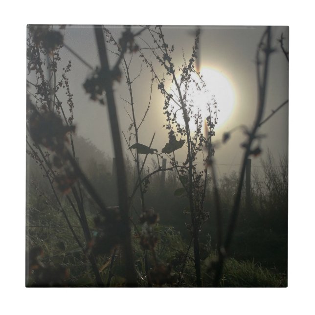 Azulejo Viendo a lo grande en una pequeña foto impresa (Frente)