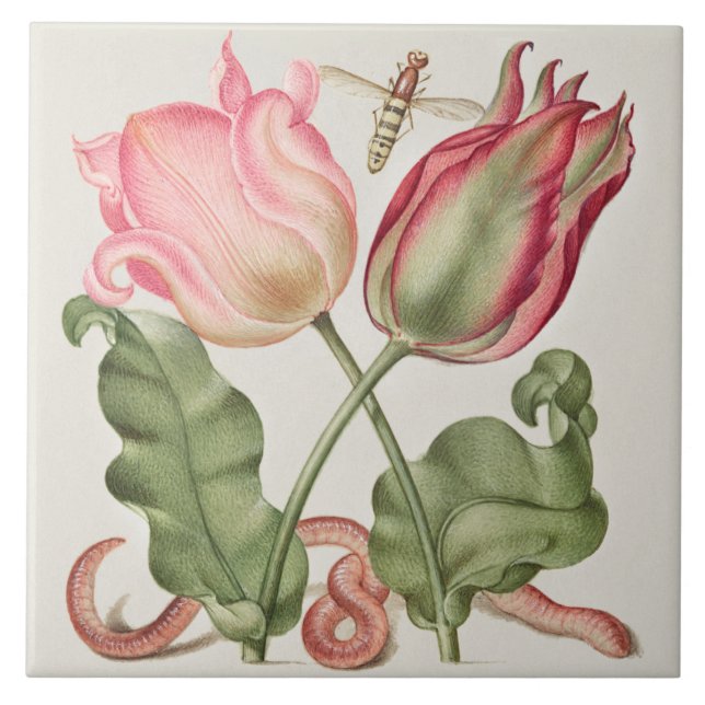 Azulejo Viñeta Botánica (Frente)