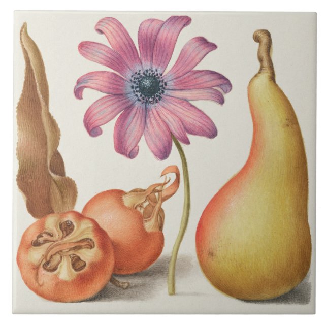 Azulejo Viñeta Botánica (Frente)