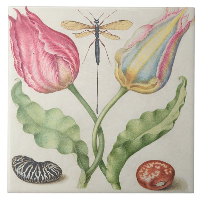 Azulejo Viñeta Botánica  (Frente)