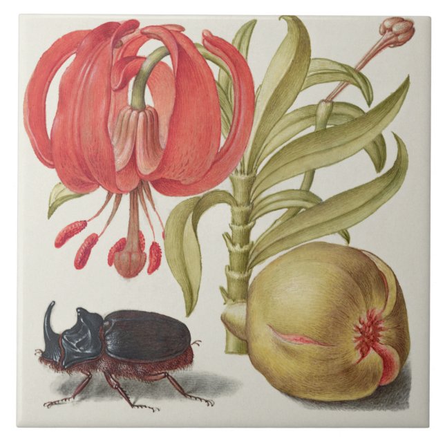 Azulejo Viñeta Botánica (Frente)
