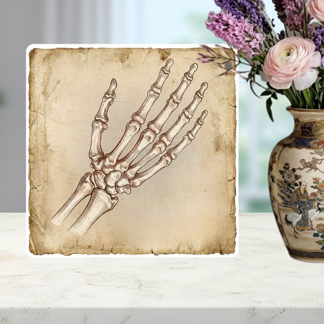 Azulejo Vintage Anatomical Hand Bones Ink Drawing Sepia (Subido por el creador)