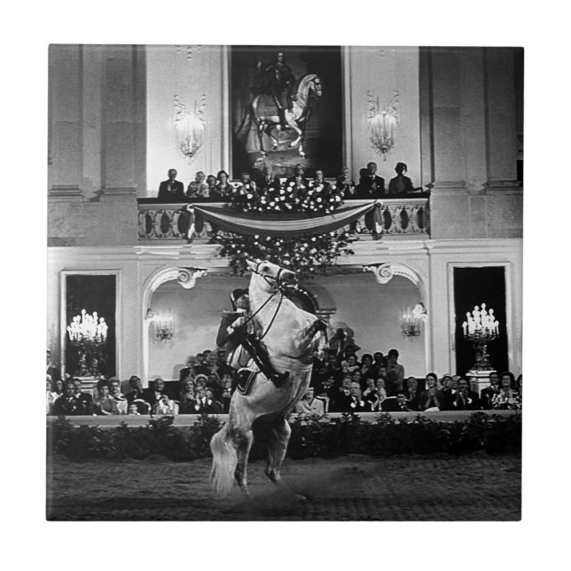 Azulejo Vintage Austria Viena (Frente)