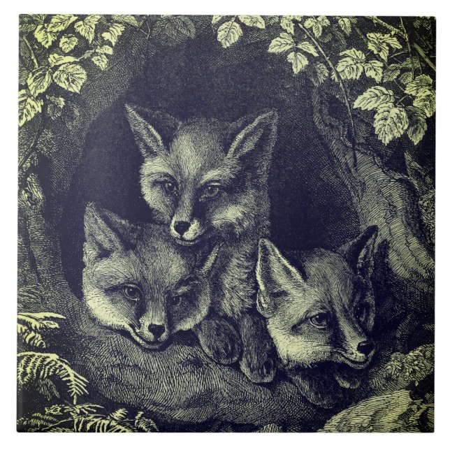 Azulejo Vintage baby fox woodland (Frente)